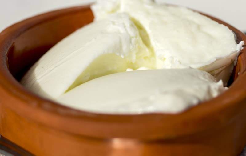 Hva er fordelene med bøffel yoghurt? Hvordan lage vannbøffel yoghurt og hva er det til?