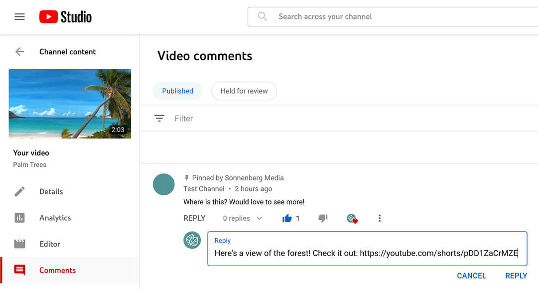 hvordan-bruker-youtube-shorts-commenting-feature-to-tag-and-mention-commenters-replying-to-original-comment-with-text-comment-example-14