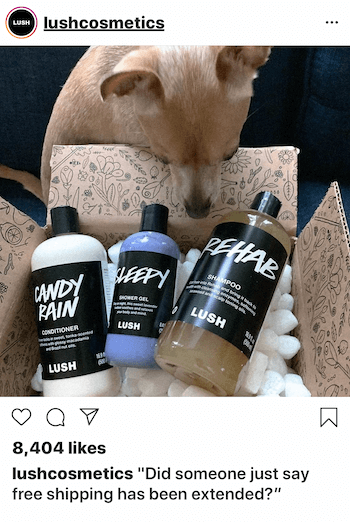 Instagram forretningsinnlegg med hund