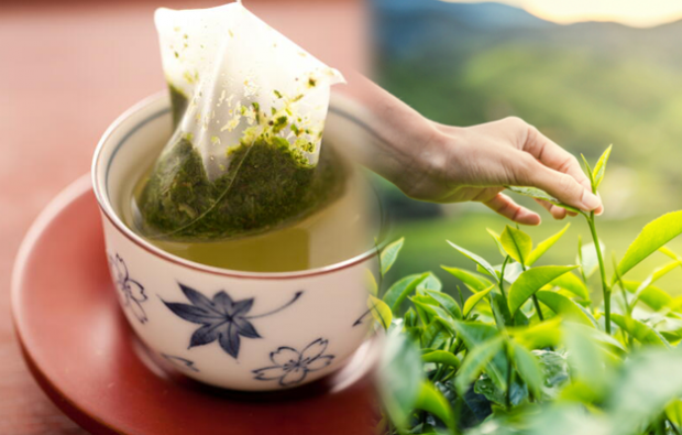 rister grønn te vil gå ned i vekt