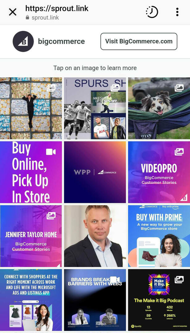 use-third-party-link-in-bio-app-or-custom-landing page-brand-needs-interactive-grid-9