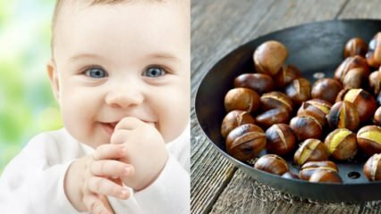 Saraçoğlu forklarte fordelene med kastanje! Hvor mange måneder gammel baby kan spise kastanjer? Lager kastanje gass i babyen?