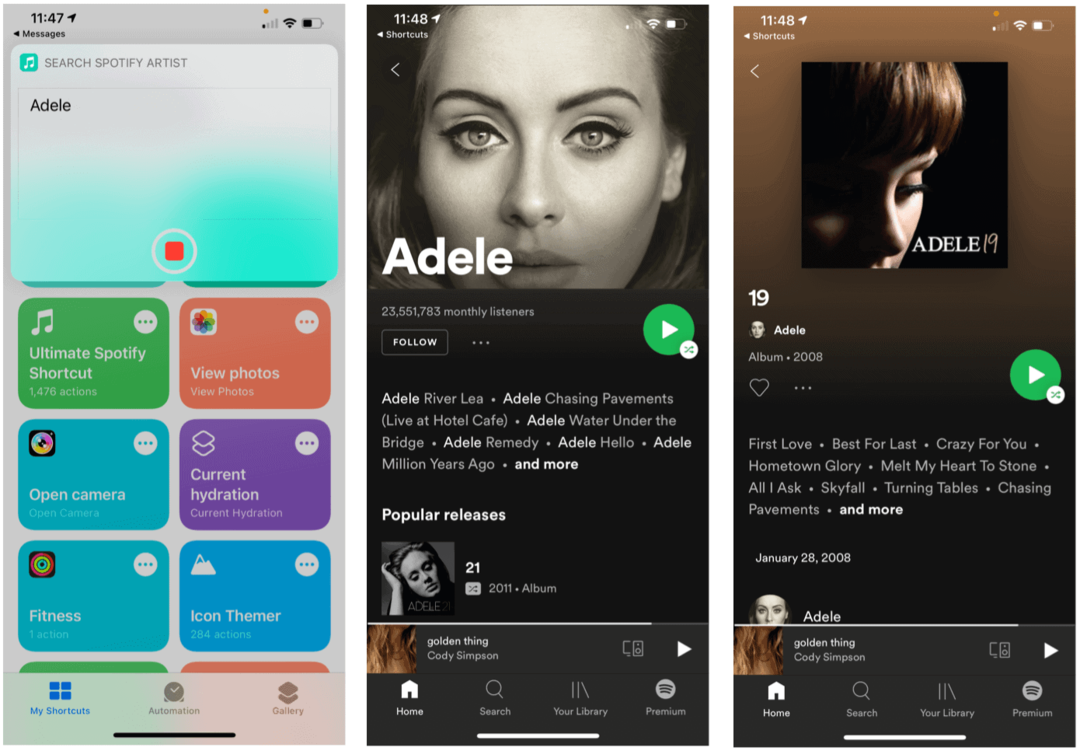 Siri Snarveier for Spotify Siri søkeartist